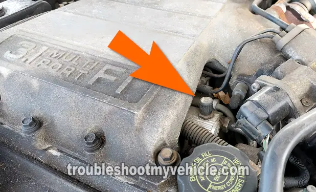 How To Test The Fuel Pump (1989-1993 3.1L V6 Buick Regal, Oldsmobile Cutlass Supreme)